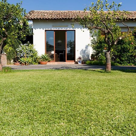 فيلا مستربيانكوفي Orange Park - Agriturismo المظهر الخارجي الصورة